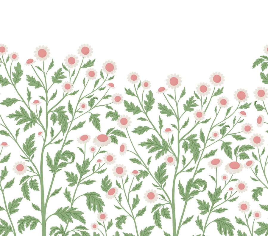 Chamomile, Spring Mural Wallpaper
