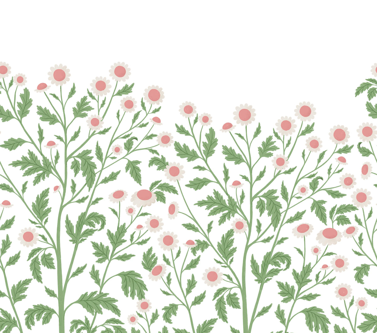 Chamomile, Spring Mural Wallpaper - pure wallpaper artwork