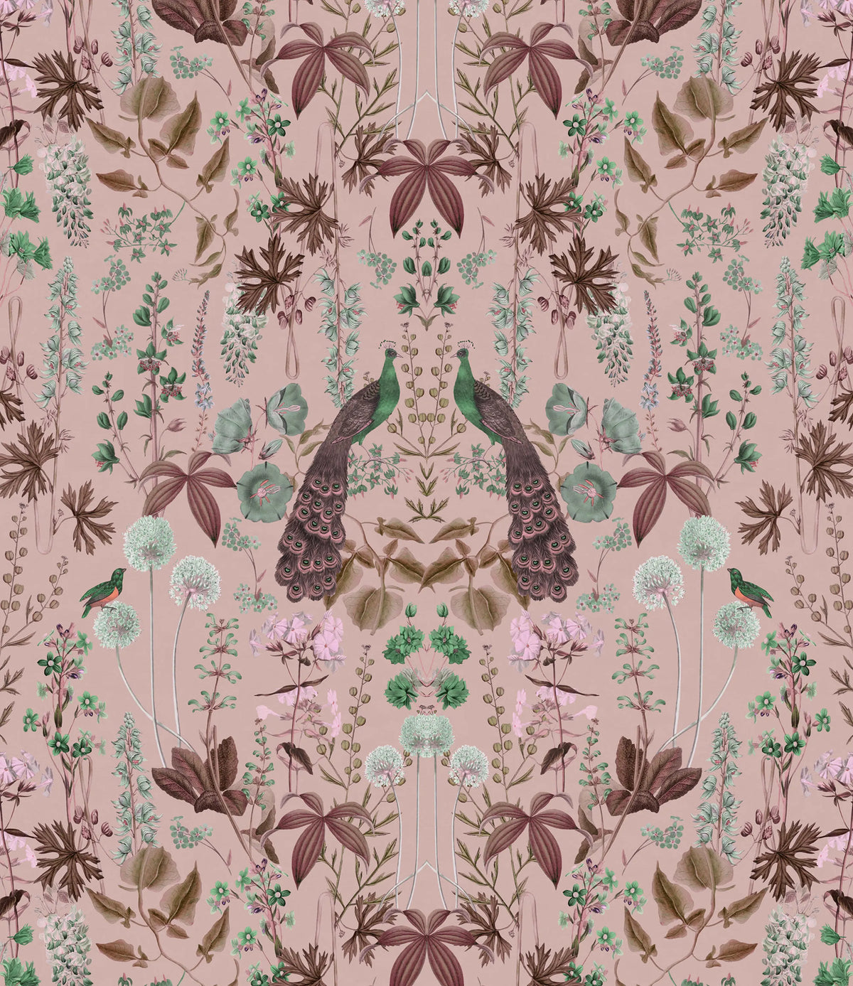 Peacock Garden, Pink Mural Wallpaper - pure wallpaper artwork