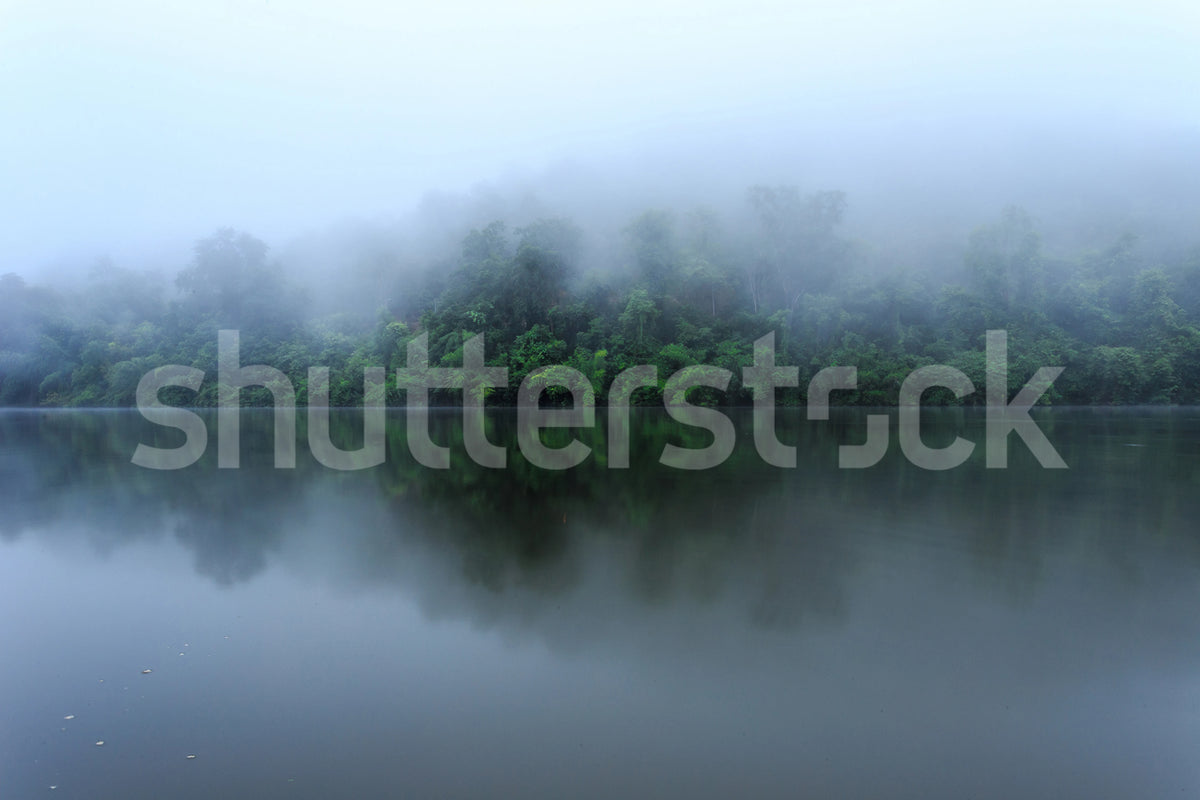 Hazy Lake Mural Wallpaper - pure wallpaper artwork