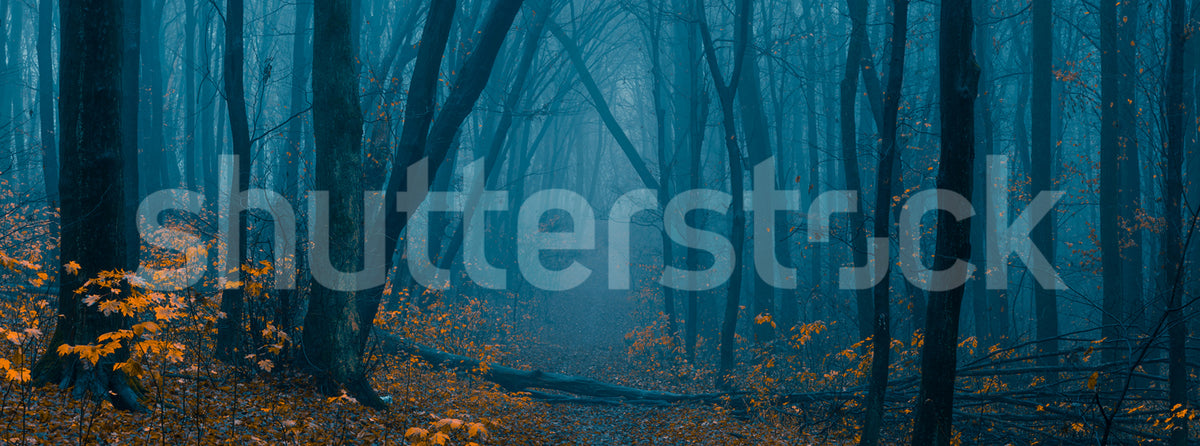 Hazy Forest Mural Wallpaper - pure wallpaper artwork