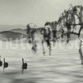 Zen Lake Mural Wallpaper - pure wallpaper artwork