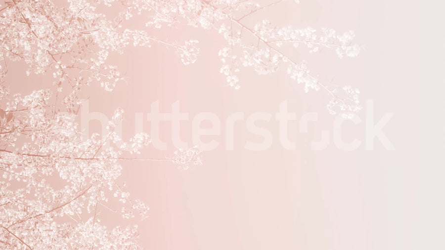 Pink Branches Mural Wallpaper