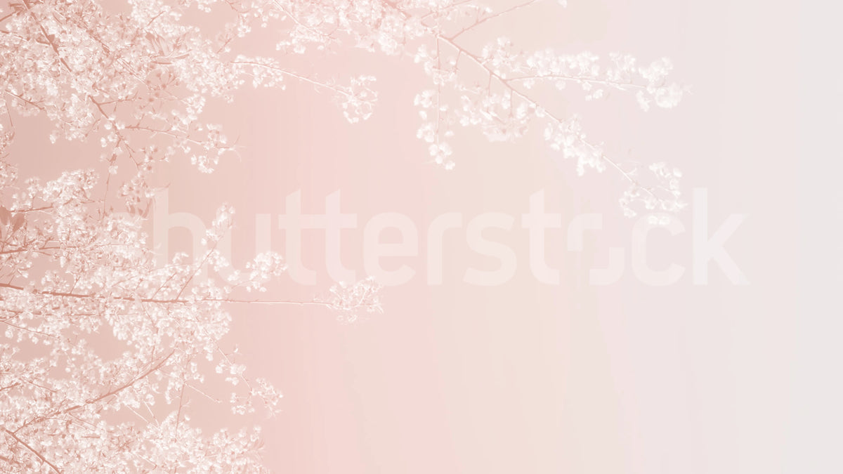 Pink Branches Mural Wallpaper - pure wallpaper artwork
