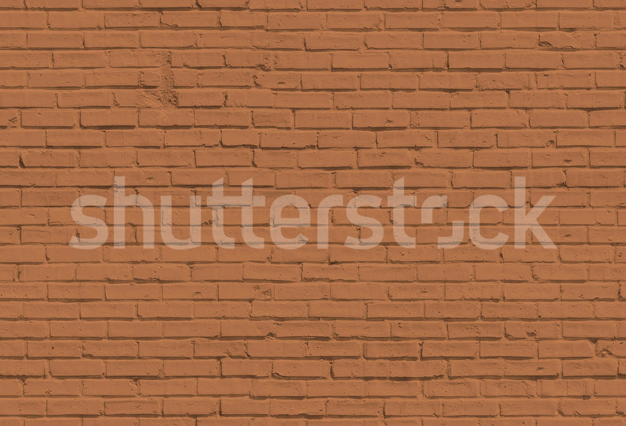 Wall of Bricks, Terracotta Mural Wallpaper