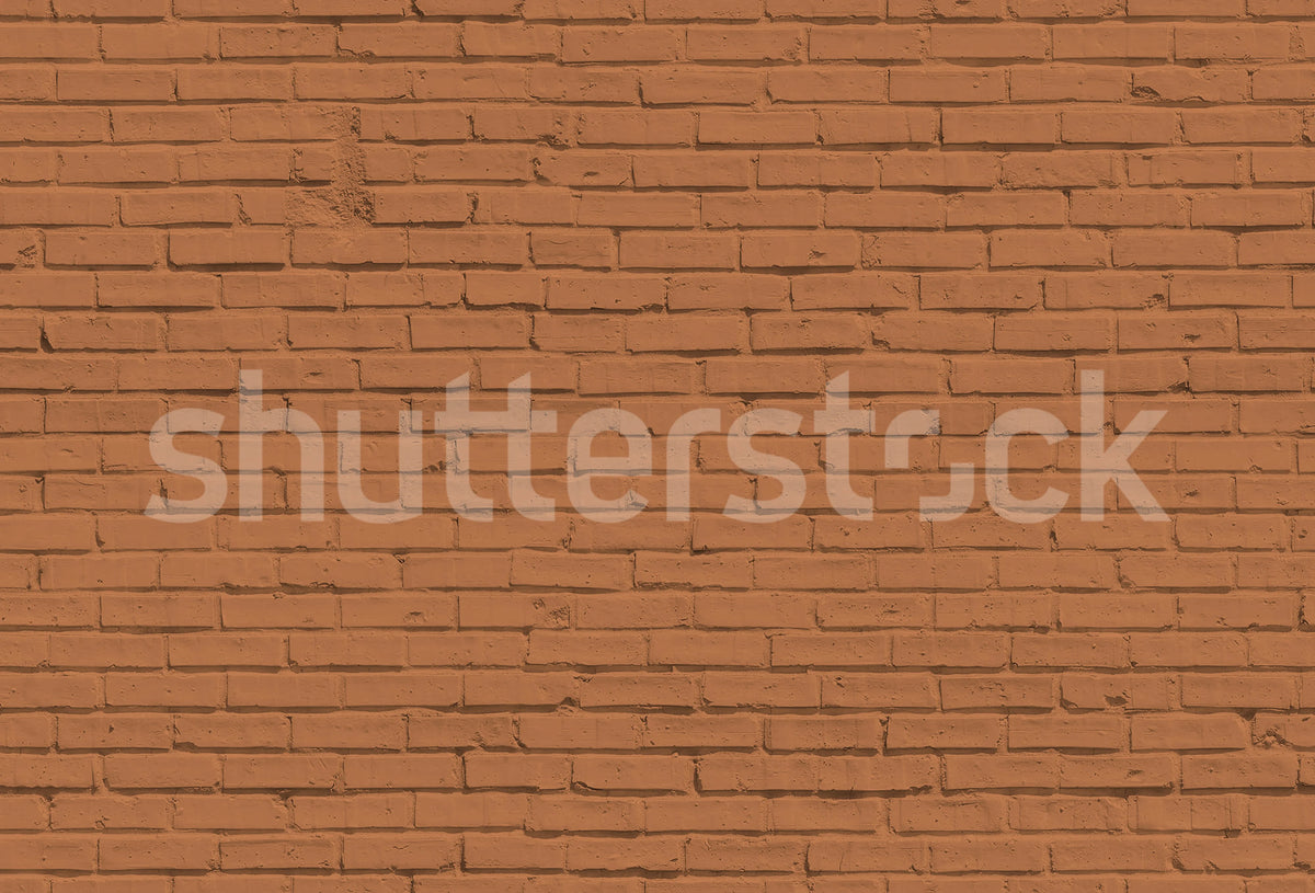 Wall of Bricks, Terracotta Mural Wallpaper - pure wallpaper artwork