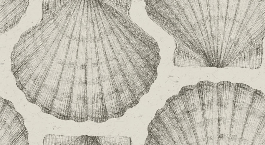 Shells, Sand Mural Wallpaper