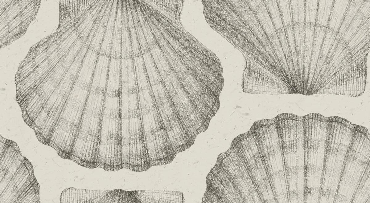 Shells, Sand Mural Wallpaper - pure wallpaper artwork