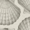 Shells, Sand Mural Wallpaper - pure wallpaper artwork