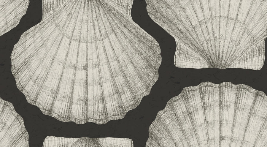 Shells, Graphite Mural Wallpaper
