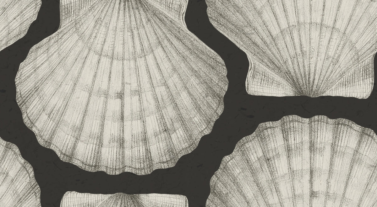 Shells, Graphite Mural Wallpaper - pure wallpaper artwork