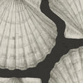 Shells, Graphite Mural Wallpaper - pure wallpaper artwork