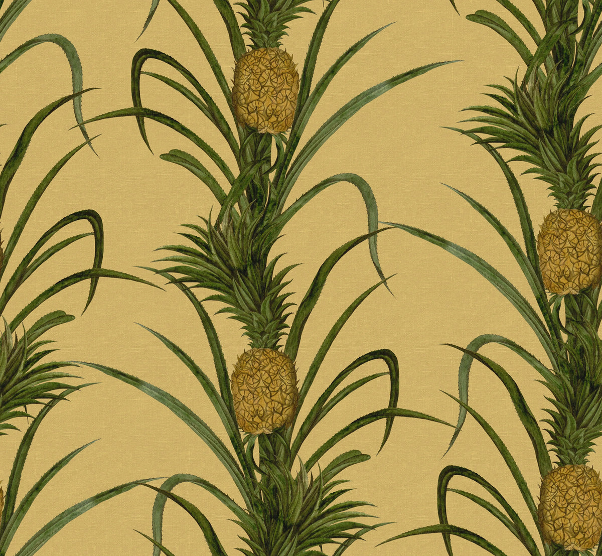 Pineapple, Sunshine Mural Wallpaper - pure wallpaper artwork