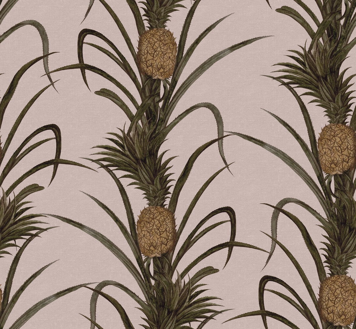 Pineapple, Soft Pink Mural Wallpaper - pure wallpaper artwork