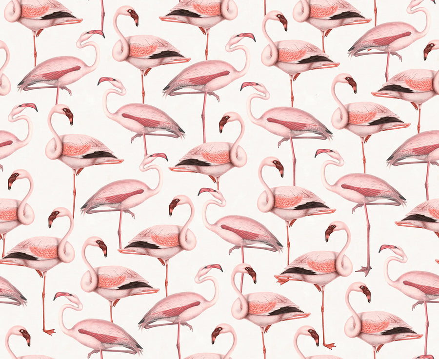 Flamingos, Soft Pink Mural Wallpaper
