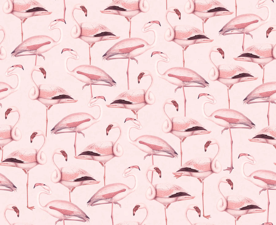 Flamingos, Bubblegum Mural Wallpaper