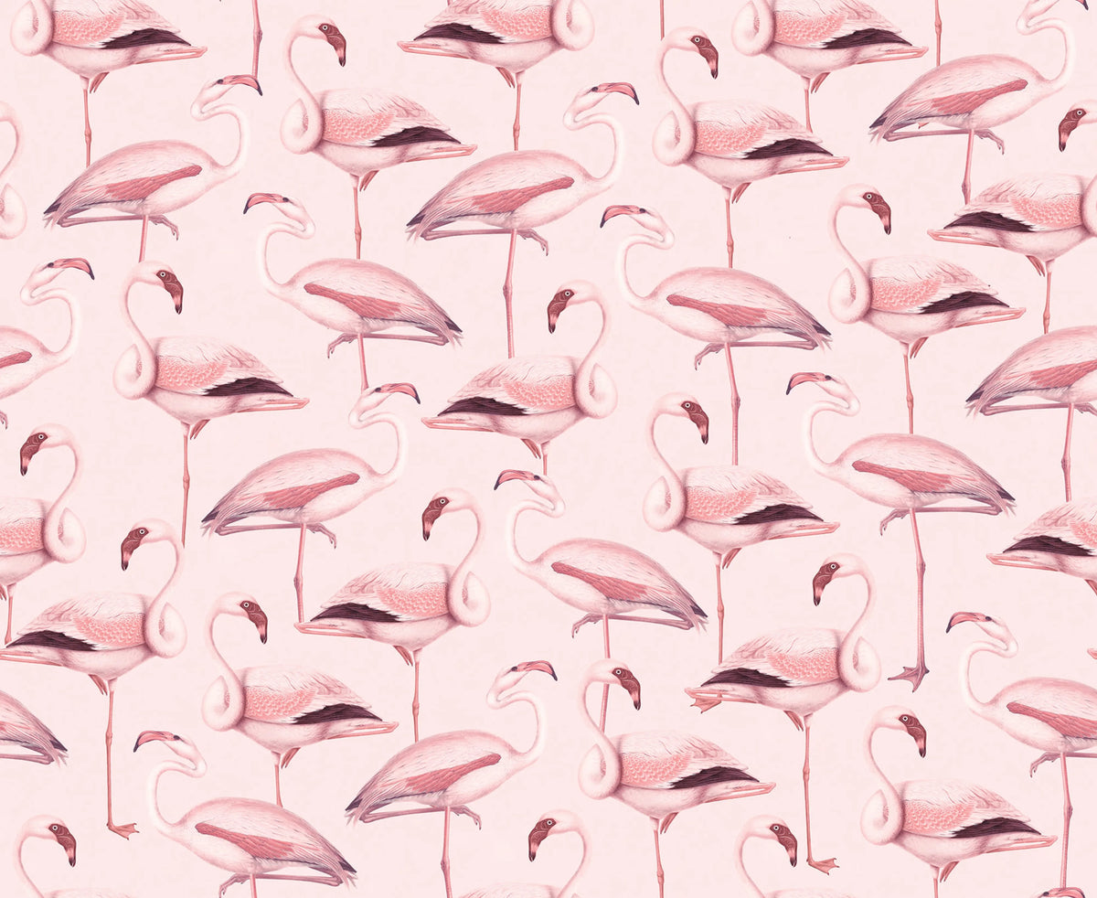 Flamingos, Bubblegum Mural Wallpaper - pure wallpaper artwork