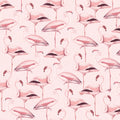 Flamingos, Bubblegum Mural Wallpaper - pure wallpaper artwork