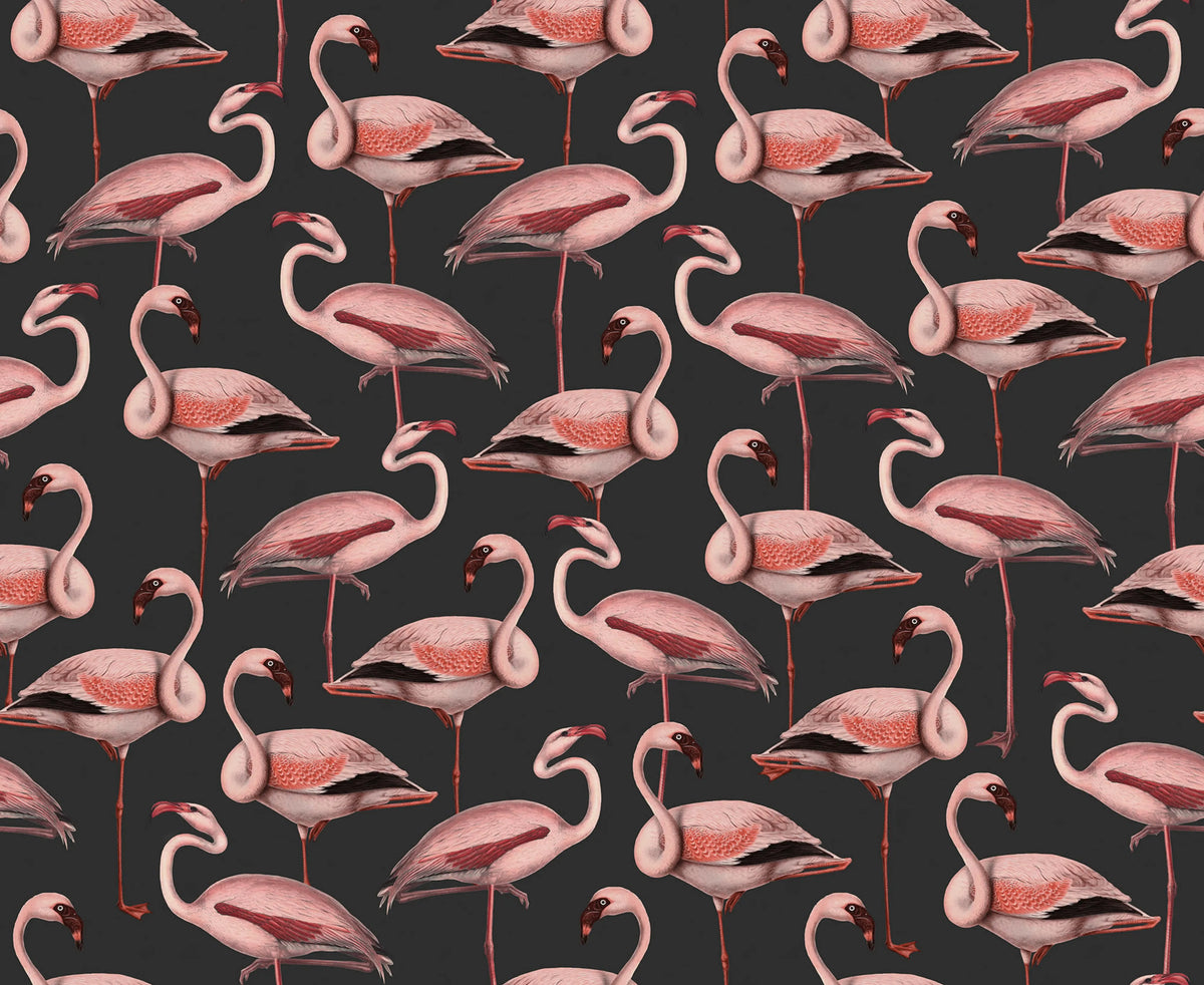 Flamingos, Liquorice Mural Wallpaper - pure wallpaper artwork