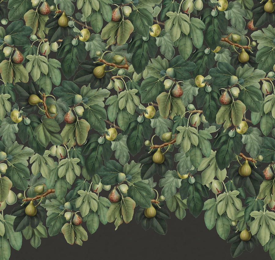 Fig Tree, Lush Mural Wallpaper