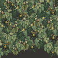 Fig Tree, Lush Mural Wallpaper - pure wallpaper artwork