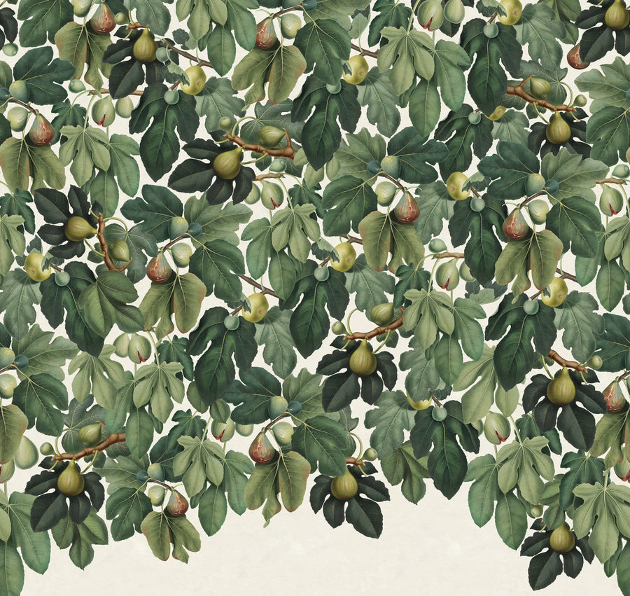 Fig Tree, Green Mural Wallpaper