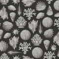 Seashells, Graphite Mural Wallpaper - pure wallpaper artwork