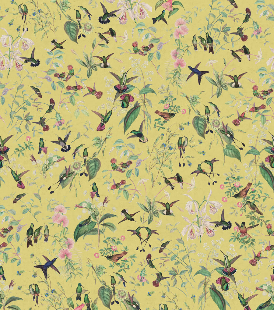 Hummingbird, Sunshine Mural Wallpaper