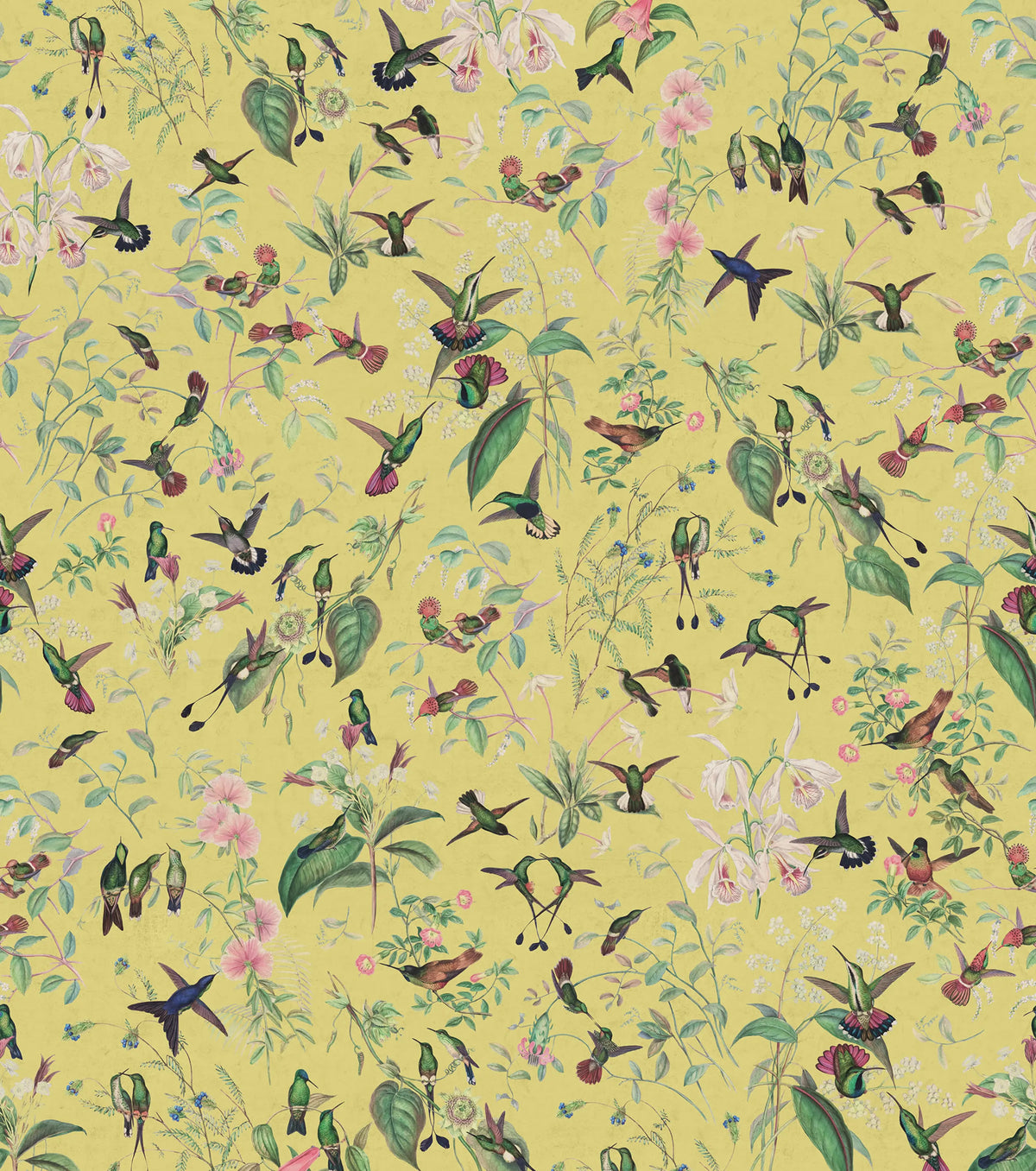 Hummingbird, Sunshine Mural Wallpaper - pure wallpaper artwork