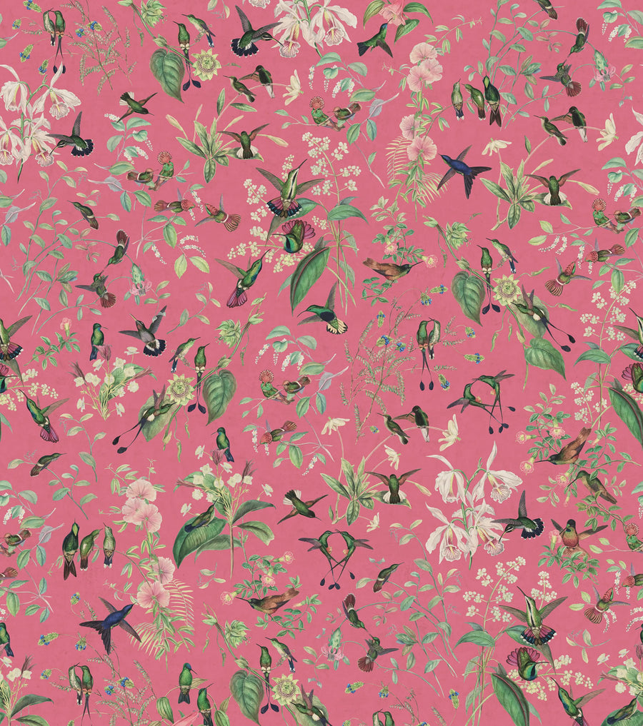 Hummingbird, Cerice Mural Wallpaper