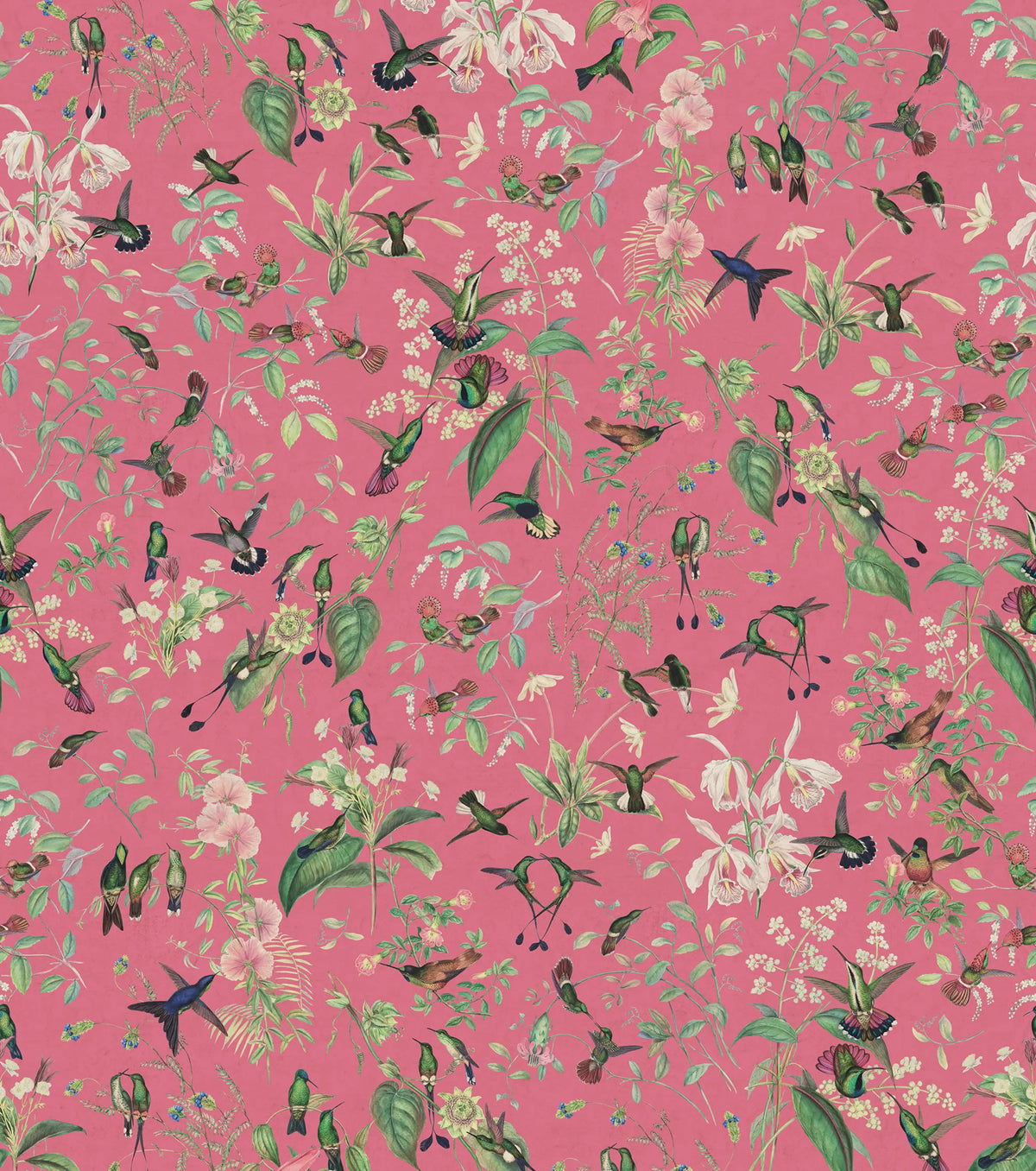 Hummingbird, Cerice Mural Wallpaper - pure wallpaper artwork