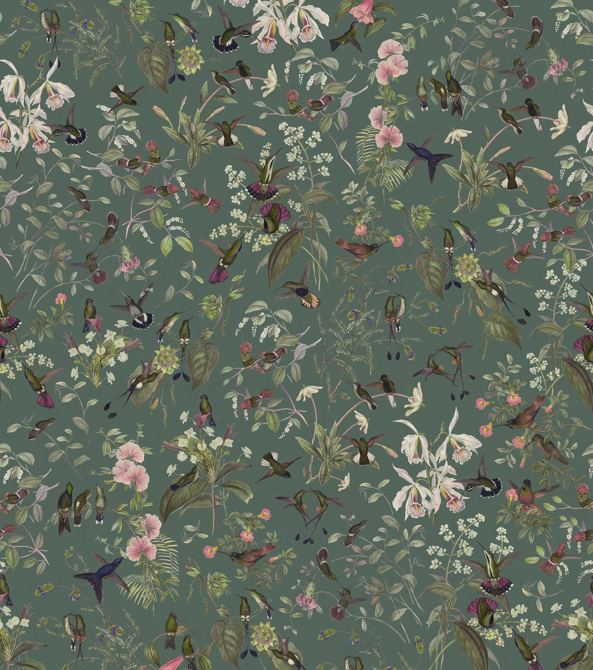 Hummingbird, Lush Mural Wallpaper - pure wallpaper artwork