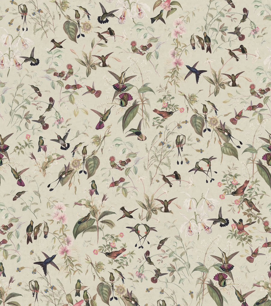 Hummingbird, Sand Mural Wallpaper