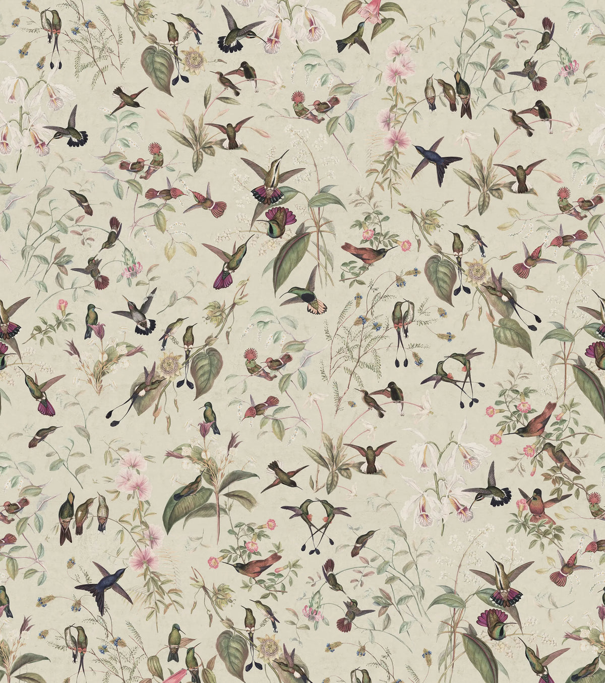 Hummingbird, Sand Mural Wallpaper - pure wallpaper artwork