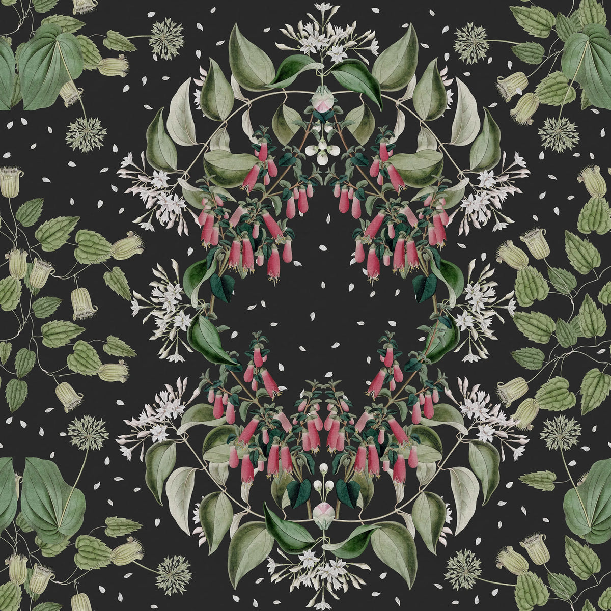 Lotus, Black Mural Wallpaper - pure wallpaper artwork
