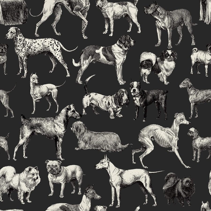Dogs, Harlequin Mural Wallpaper