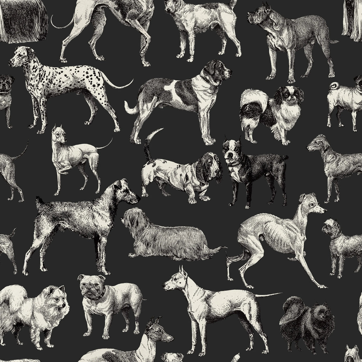 Dogs, Harlequin Mural Wallpaper - pure wallpaper artwork