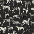 Dogs, Harlequin Mural Wallpaper - pure wallpaper artwork