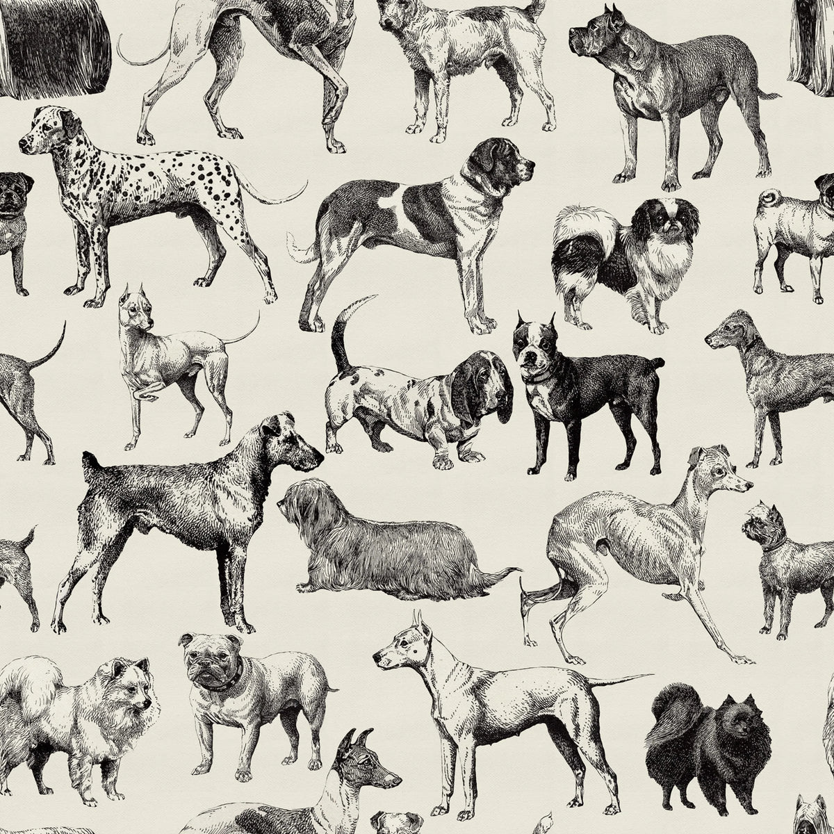 Dogs, Creme Mural Wallpaper - pure wallpaper artwork