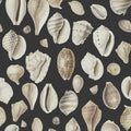 Ocean Shells, Graphite Mural Wallpaper - pure wallpaper artwork