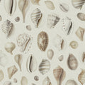 Ocean Shells, Sand Mural Wallpaper - pure wallpaper artwork
