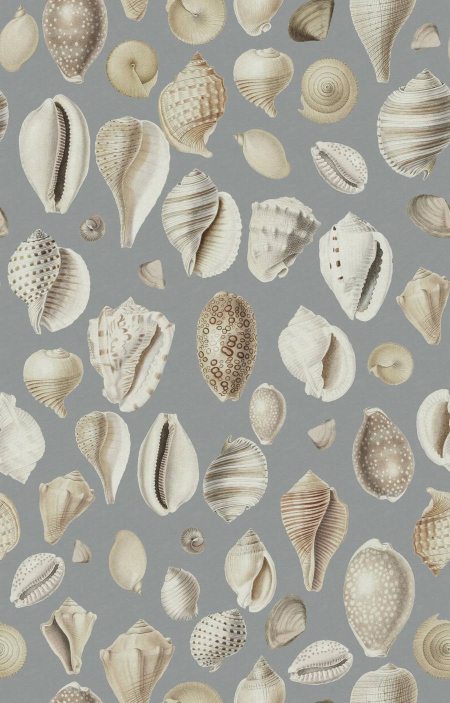 Ocean Shells, Blue Mural Wallpaper