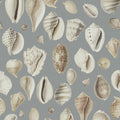 Ocean Shells, Blue Mural Wallpaper - pure wallpaper artwork