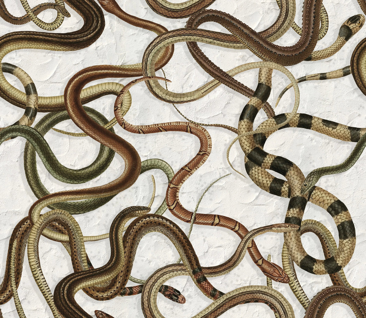 Snakey, Graphite Mural Wallpaper - pure wallpaper artwork