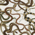 Snakey, Graphite Mural Wallpaper - pure wallpaper artwork
