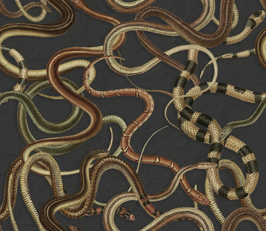 Snakey, Black Mural Wallpaper