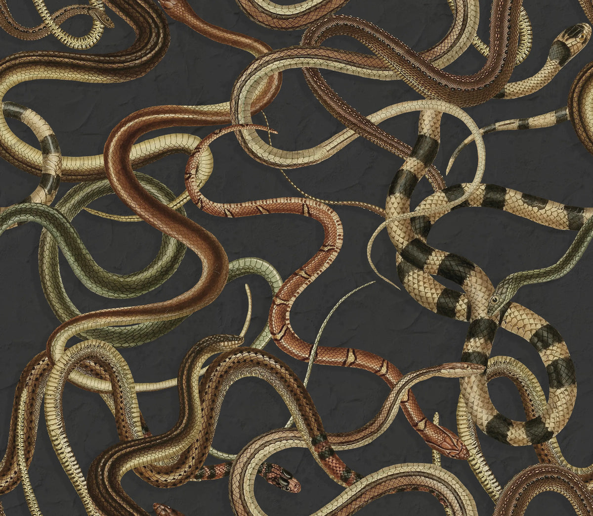 Snakey, Black Mural Wallpaper - pure wallpaper artwork
