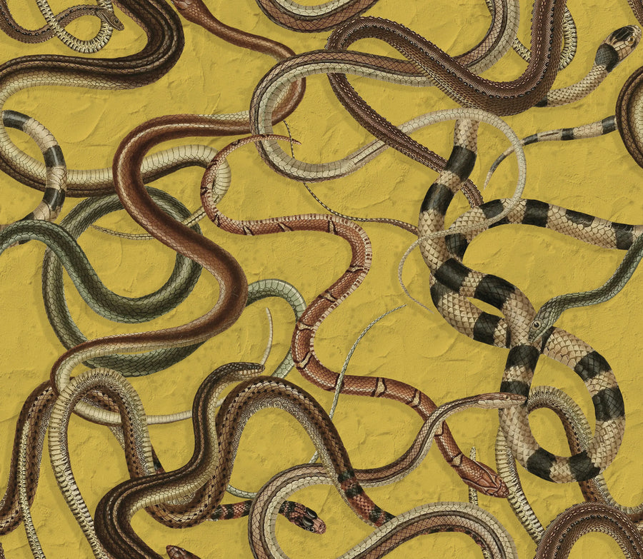 Snakey, Yellow Mural Wallpaper