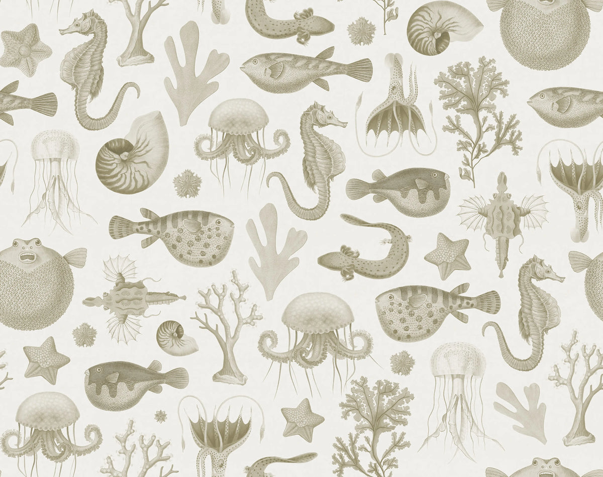 Sea Life, Sand Mural Wallpaper - pure wallpaper artwork