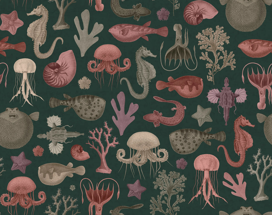 Sea Life, Ocean Mural Wallpaper